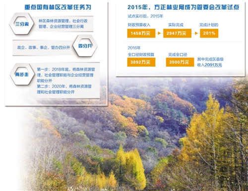 黑龙江省人民lol比赛赌注平台政府办公厅关于推进国有林区转型发展的若干意见