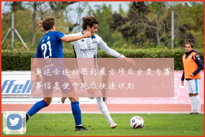 奥运会运动图标展示项目分类与赛事信息便于观众快速识别