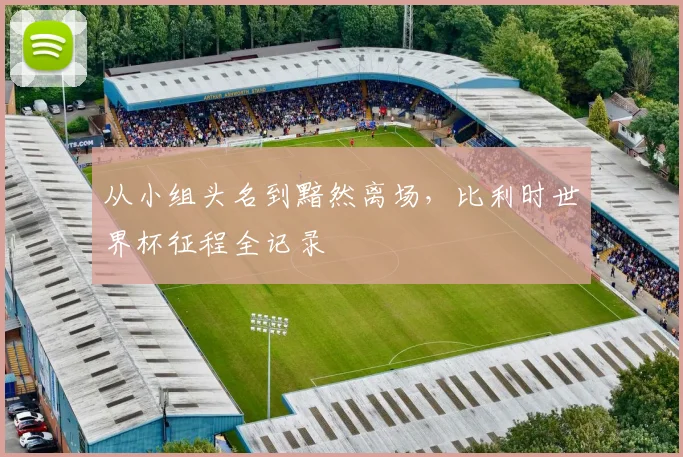 从小组头名到黯然离场,比利时世界杯征程全记录