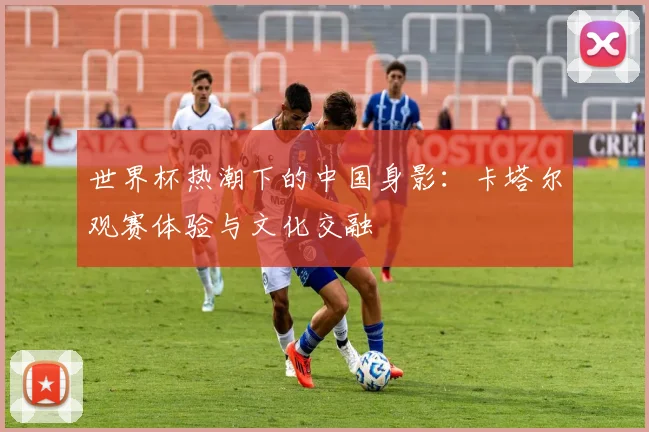 世界杯热潮下的中国身影:卡塔尔观赛体验与文化交融