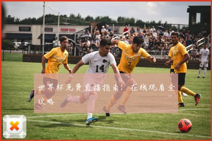 世界杯免费直播指南:在线观看全攻略