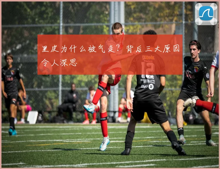 里皮为什么被气走?背后三大原因令人深思