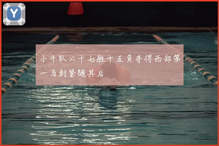 小牛队六十七胜十五负夺得西部第一马刺紧随其后