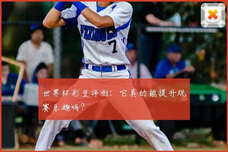 世界杯彩豆评测:它真的能提升观赛乐趣吗?