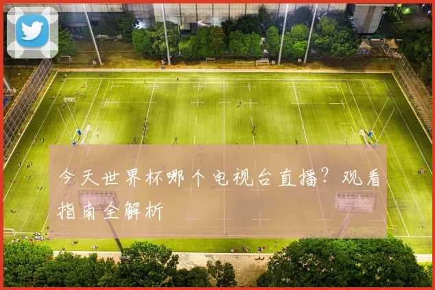 今天世界杯哪个电视台直播？观看指南全解析