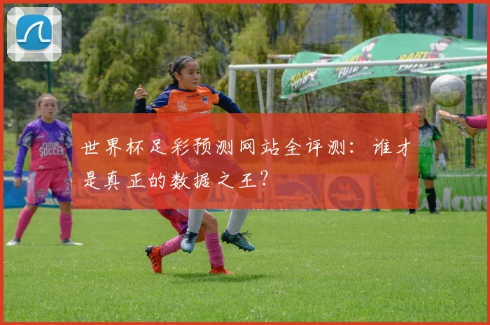 世界杯足彩预测网站全评测：谁才是真正的数据之王？