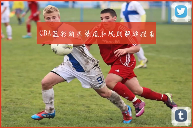 CBA篮彩购买渠道和规则解读指南
