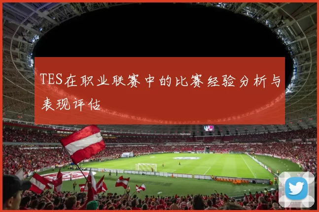 TES在职业联赛中的比赛经验分析与表现评估