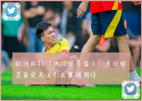 欧洲杯2016热门球员盘点:多位球星备受关注引发赛场期待