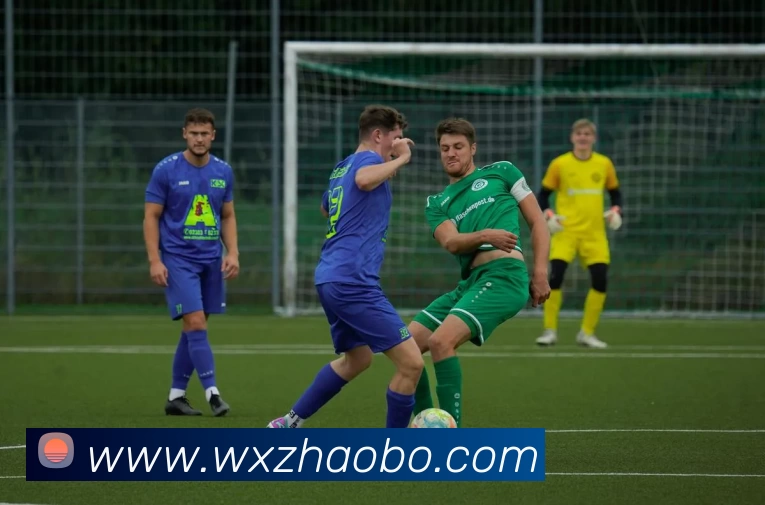 多媒体互动体验